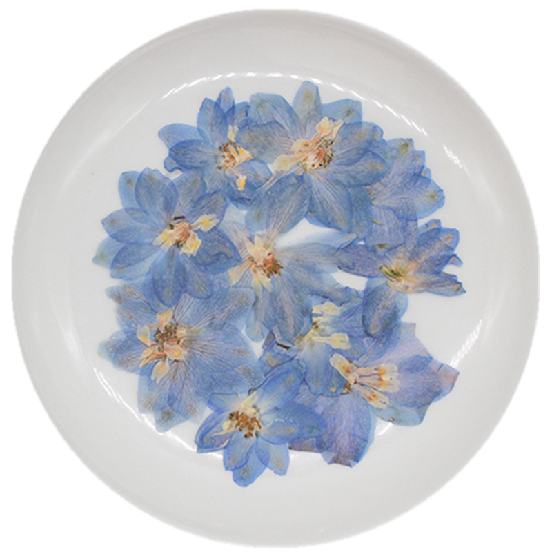 Dried Flower Bookmark - 60pcs Bunga Konsolida Ajacis Biru Kering